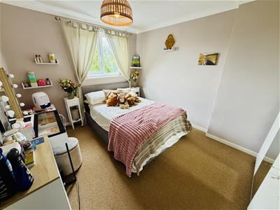 Picture 19